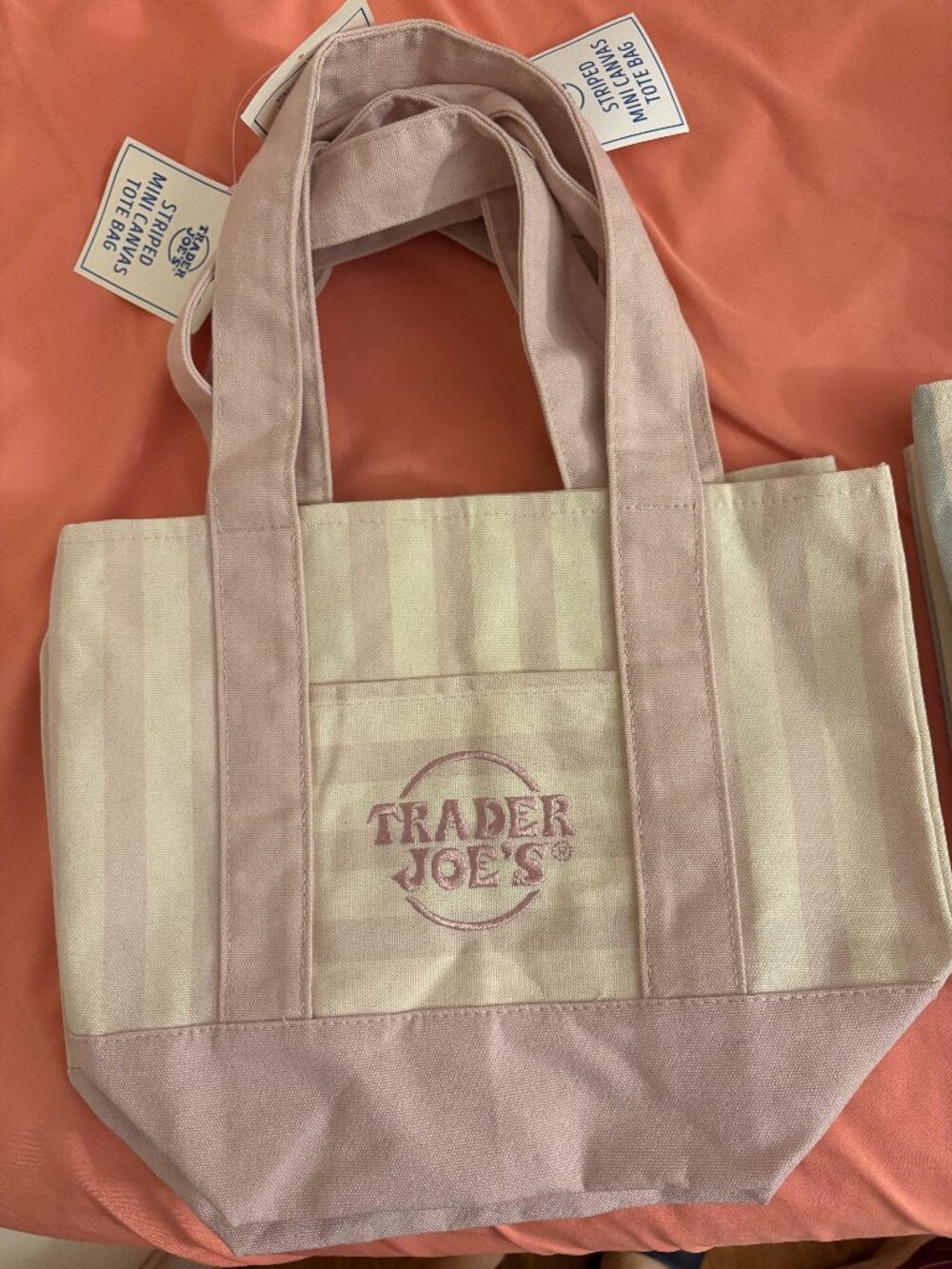 Trader Joe’s Viral Striped Canvas Mini Tote - 1 piece NEW Release